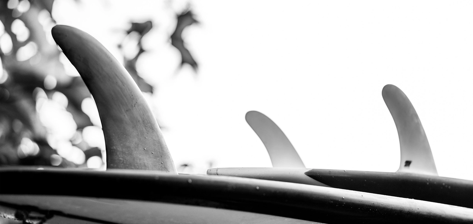 Entretenir sa planche de surf