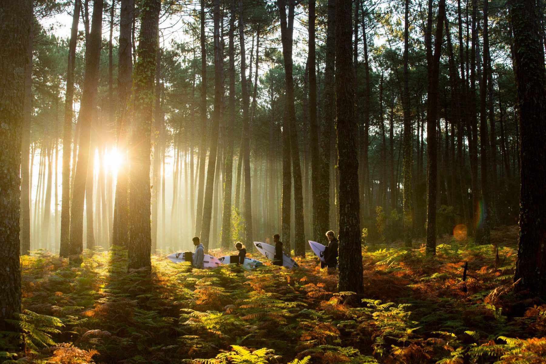Offres de stage Etudiants