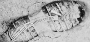 Histoire de la marque dc shoes