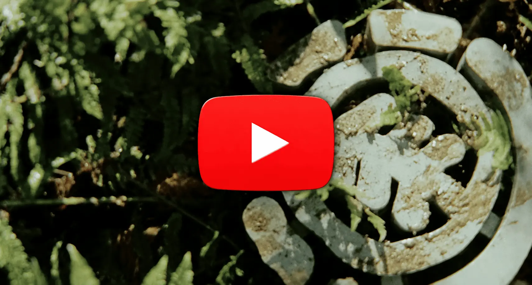 Miniature documentaire Element SEARCH