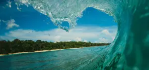 WSL CT guide