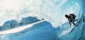 Andy Irons Portrait